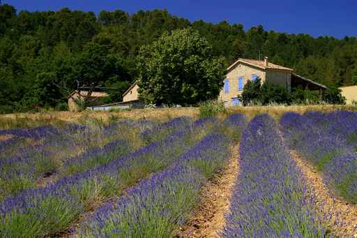 French Law Matters
